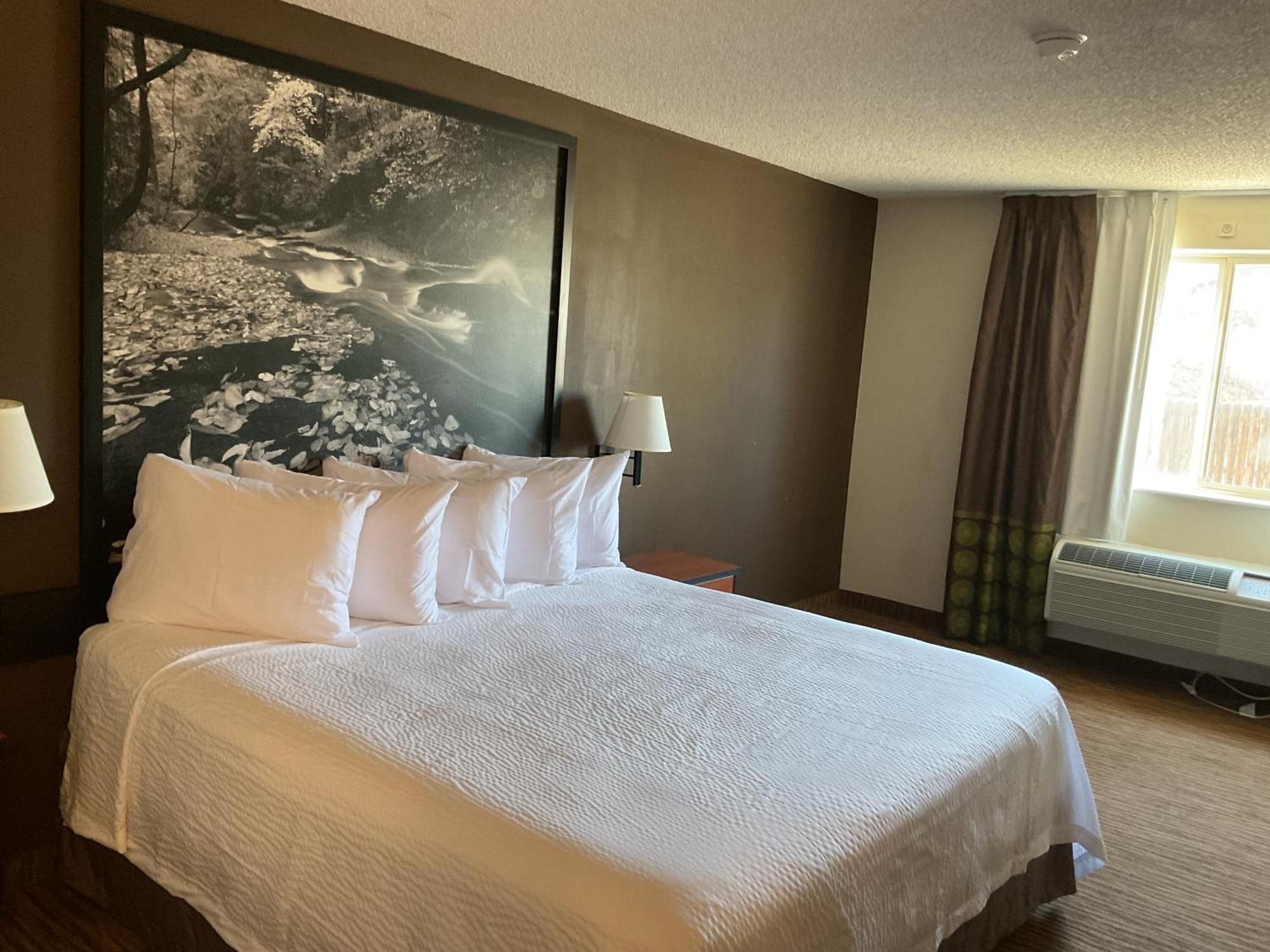 Super 8 By Wyndham Colorado Springs Airport Motell Exteriör bild